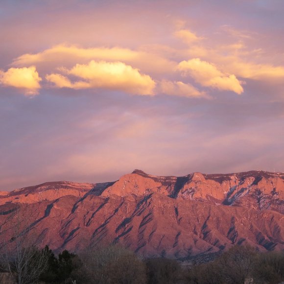 Meet your Posher, Lori - Picture 6 of 9